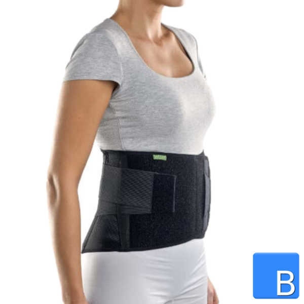 BraceID Contoured Back Support Rückenbandage
