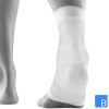 Sports Compression Ankle Support in weiss back