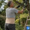Active Color Rückenbandage - Anwendung bei der Gartenarbeit, beige
